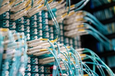 Patch cables plugged into a network patch panel