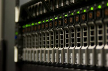 Rows of hard drive caddies in a multi-bay storage array, green status LEDs lit in a dark room